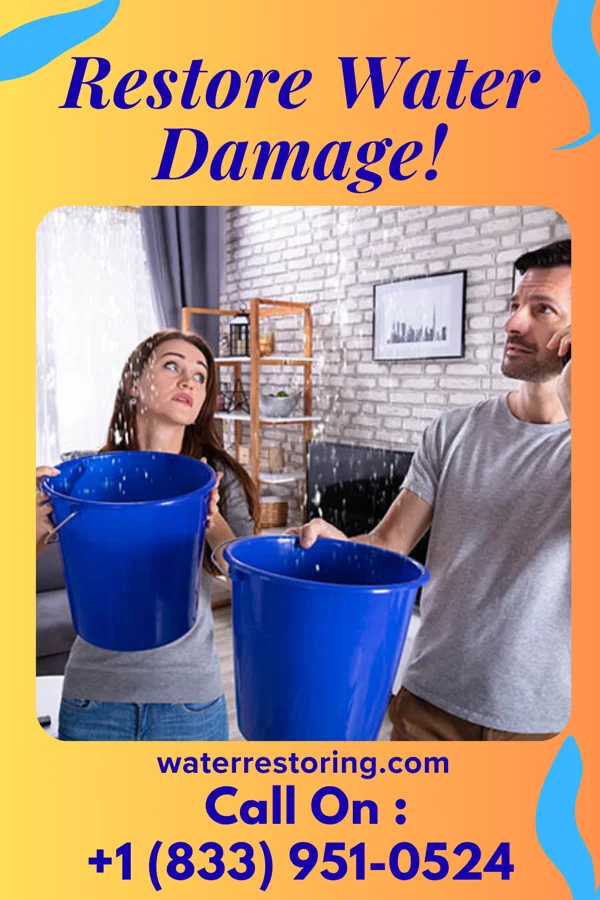 water restoration United Cleanup & Sons Auburn