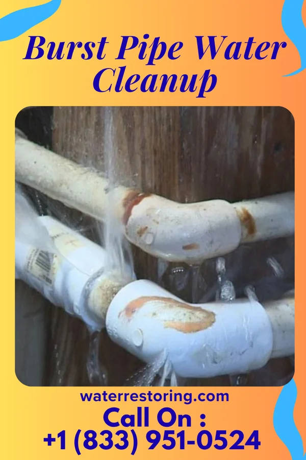 Burst Pipe Water Cleanup in Auburn, KS