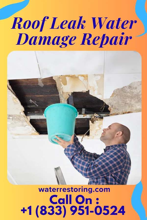 Roof Leak Water Damage Repair in Auburn, KS