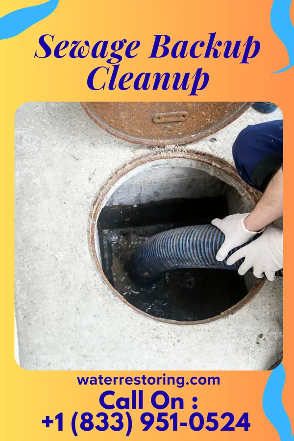 Sewage Backup Cleanup in Auburn, KS