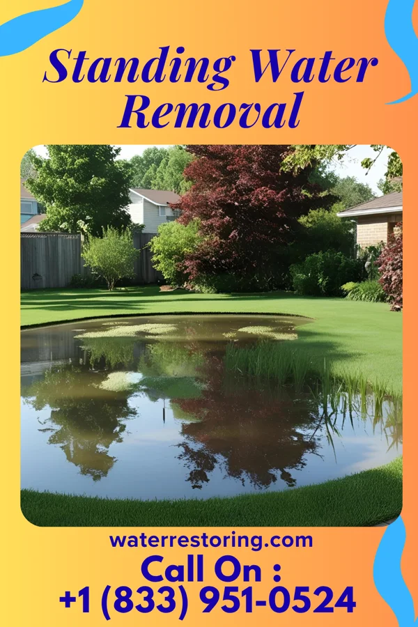 Standing Water Removal in Auburn, KS